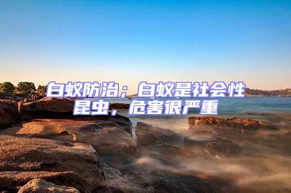 白蟻防治；白蟻是社會(huì)性昆蟲，危害很嚴(yán)重