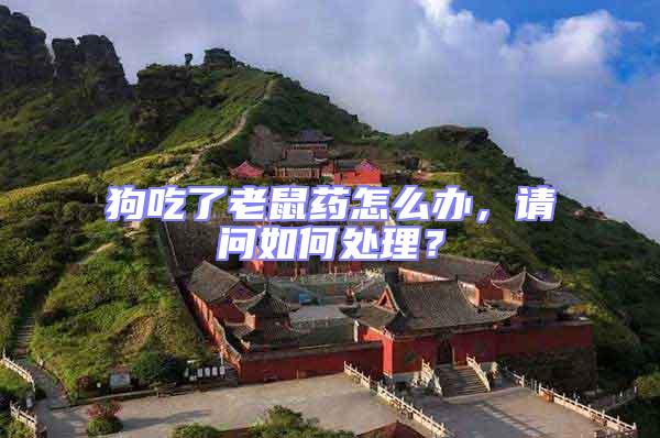 狗吃了老鼠藥怎么辦，請(qǐng)問(wèn)如何處理？