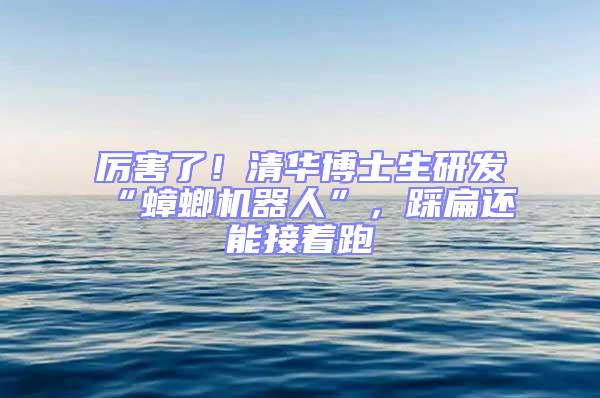 厲害了！清華博士生研發(fā)“蟑螂機(jī)器人”，踩扁還能接著跑