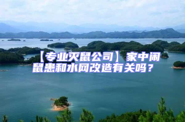 【專業滅鼠公司】家中鬧鼠患和水網改造有關嗎？