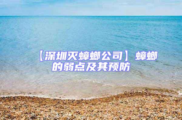 【深圳滅蟑螂公司】蟑螂的弱點及其預(yù)防