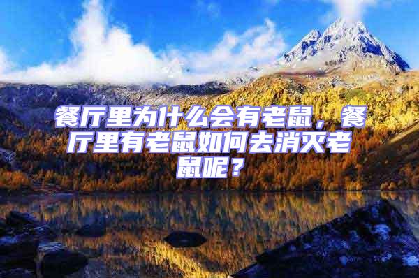餐廳里為什么會有老鼠,餐廳里有老鼠如何去消滅老鼠呢?