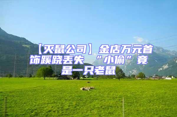 【滅鼠公司】金店萬元首飾蹊蹺丟失 “小偷”竟是一只老鼠