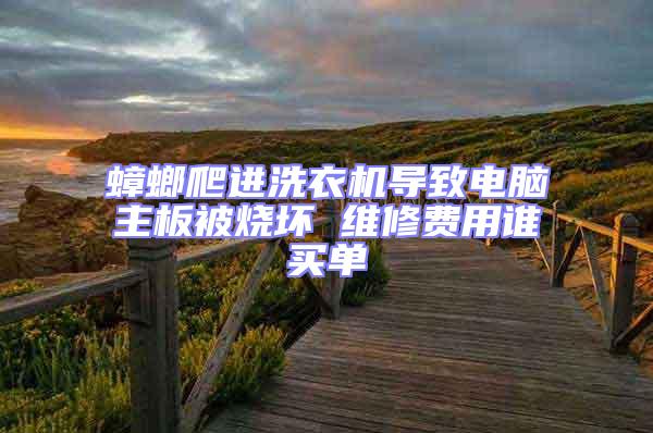 蟑螂爬進(jìn)洗衣機導(dǎo)致電腦主板被燒壞 維修費用誰買單