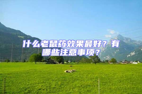 什么老鼠藥效果最好?有哪些注意事項(xiàng)?