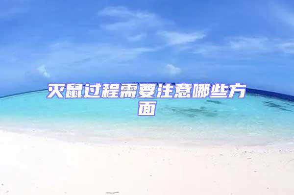 滅鼠過程需要注意哪些方面