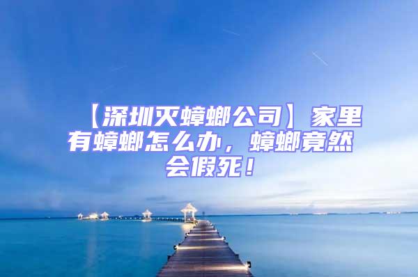 【深圳滅蟑螂公司】家里有蟑螂怎么辦,蟑螂竟然會假死!