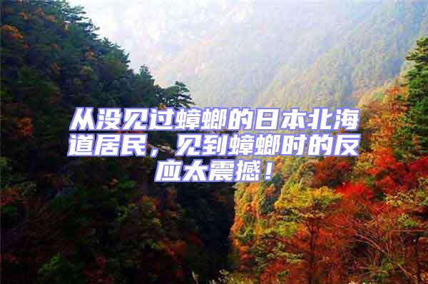 從沒見過蟑螂的日本北海道居民，見到蟑螂時的反應太震撼！