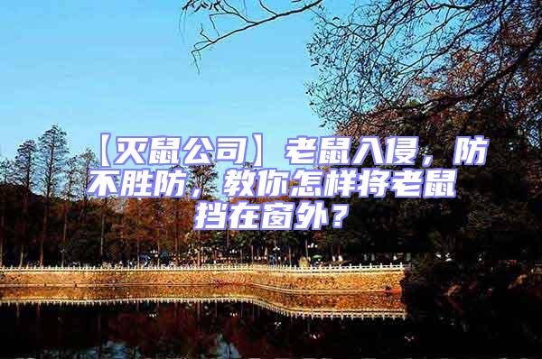 【滅鼠公司】老鼠入侵，防不勝防，教你怎樣將老鼠擋在窗外？