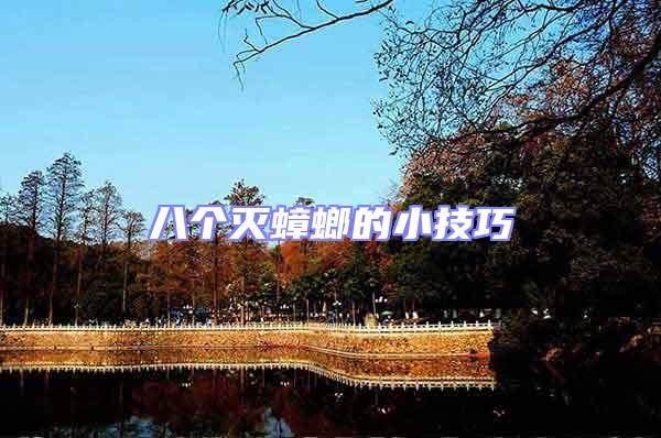 八個滅蟑螂的小技巧