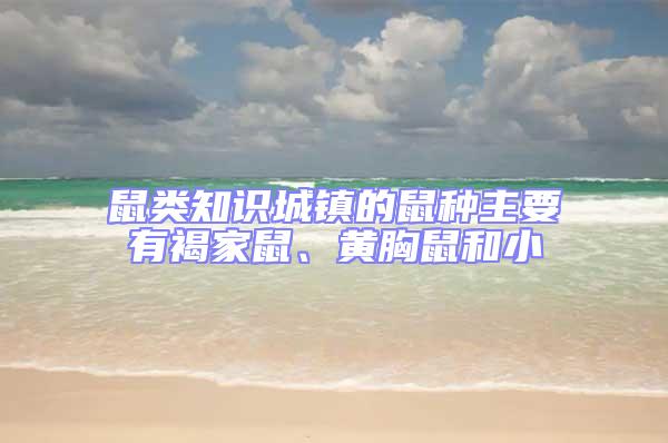 鼠類知識城鎮的鼠種主要有褐家鼠、黃胸鼠和小