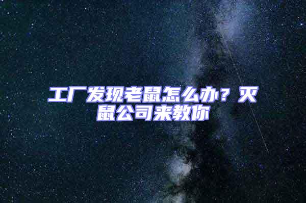 工廠發現老鼠怎么辦？滅鼠公司來教你