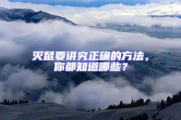 滅鼠要講究正確的方法，你都知道哪些？