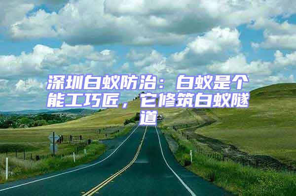 深圳白蟻防治:白蟻是個能工巧匠,它修筑白蟻隧道