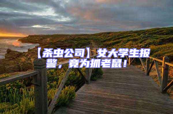 【殺蟲公司】女大學生報警,竟為抓老鼠!