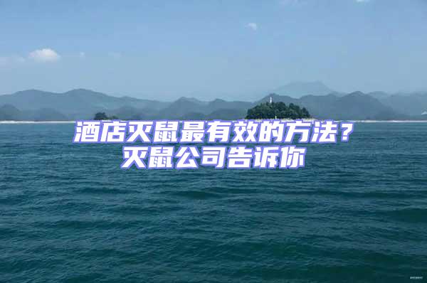 酒店滅鼠最有效的方法?滅鼠公司告訴你