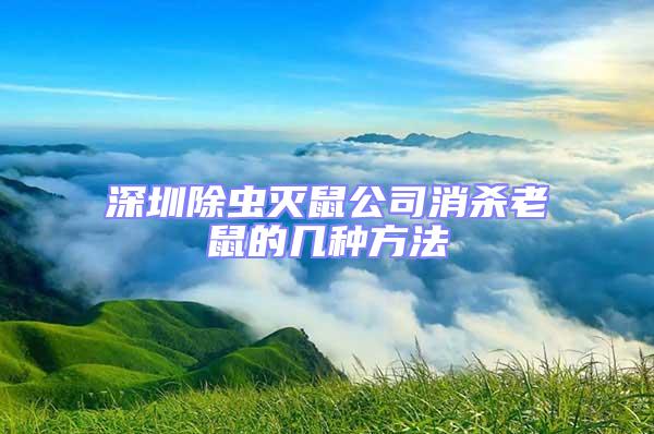 深圳除蟲(chóng)滅鼠公司消殺老鼠的幾種方法