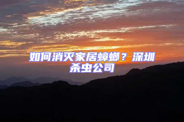 如何消滅家居蟑螂？深圳殺蟲公司