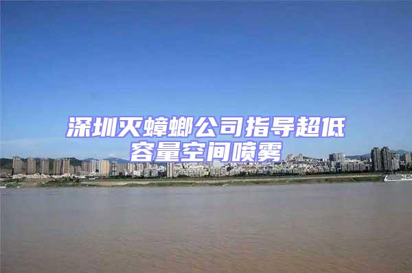 深圳滅蟑螂公司指導超低容量空間噴霧