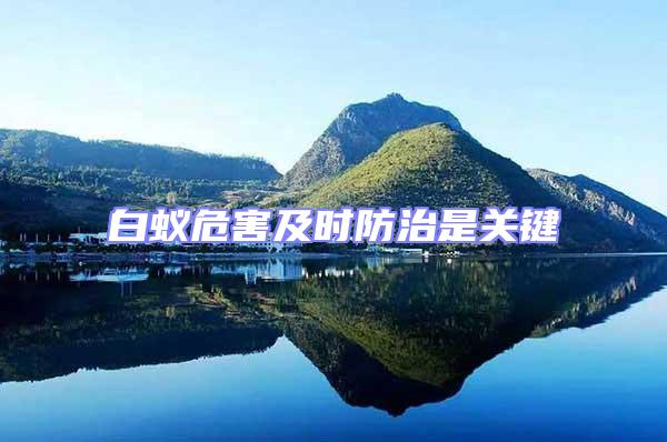 白蟻危害及時防治是關鍵