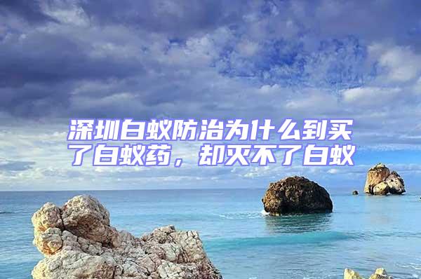 深圳白蟻防治為什么到買了白蟻藥，卻滅不了白蟻