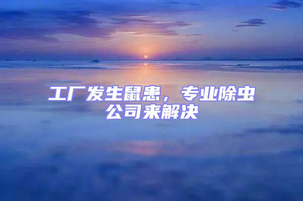 工廠發生鼠患，專業除蟲公司來解決