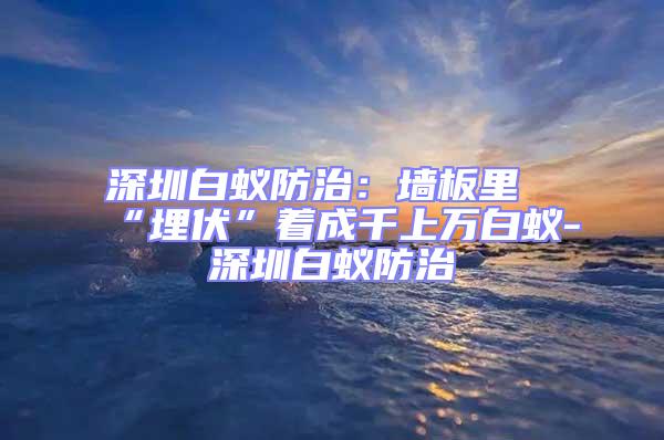 深圳白蟻防治：墻板里“埋伏”著成千上萬(wàn)白蟻-深圳白蟻防治