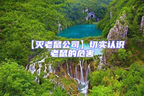 【滅老鼠公司】切實(shí)認(rèn)識老鼠的危害