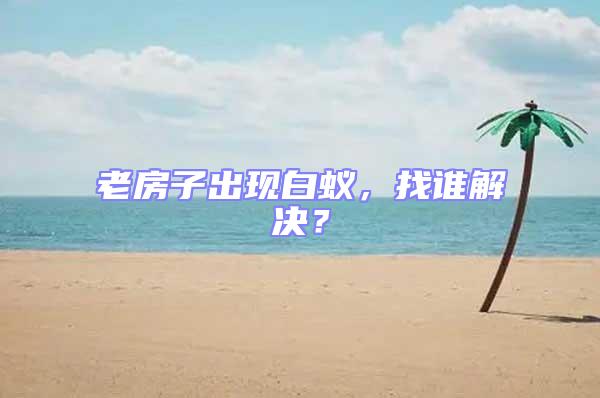 老房子出現(xiàn)白蟻，找誰解決？