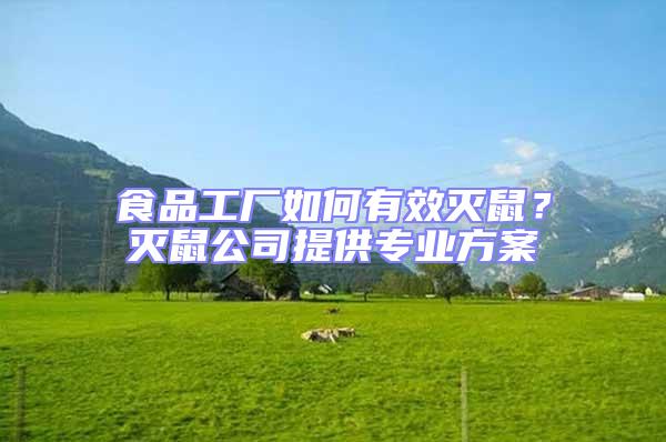 食品工廠如何有效滅鼠？滅鼠公司提供專業方案