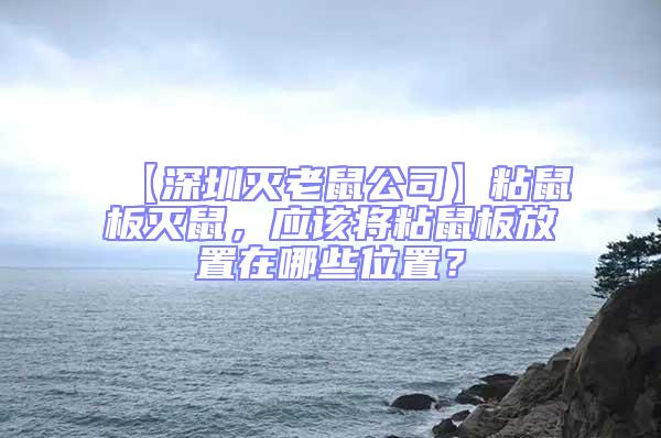 【深圳滅老鼠公司】粘鼠板滅鼠，應該將粘鼠板放置在哪些位置？