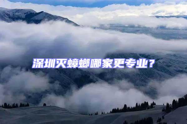 深圳滅蟑螂哪家更專業？