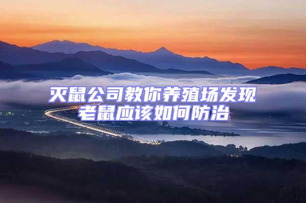 滅鼠公司教你養(yǎng)殖場發(fā)現(xiàn)老鼠應該如何防治