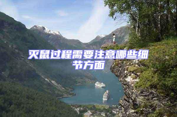 滅鼠過程需要注意哪些細節方面