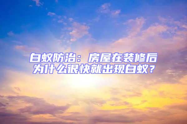 白蟻防治：房屋在裝修后為什么很快就出現(xiàn)白蟻？