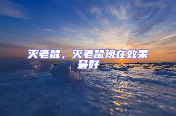 滅老鼠，滅老鼠現(xiàn)在效果最好