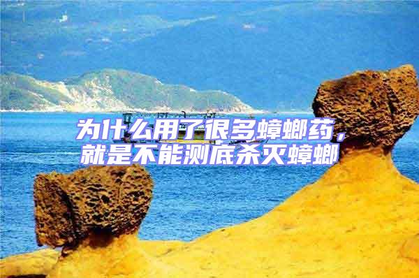 為什么用了很多蟑螂藥,就是不能測底殺滅蟑螂