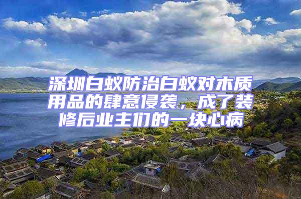 深圳白蟻防治白蟻對木質(zhì)用品的肆意侵襲,成了裝修后業(yè)主們的一塊心病