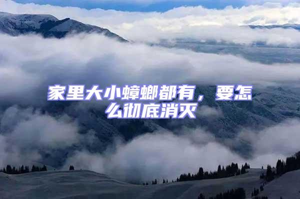 家里大小蟑螂都有,要怎么徹底消滅