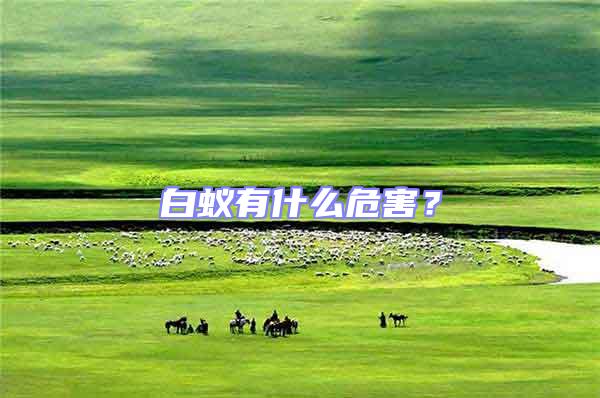 白蟻有什么危害?