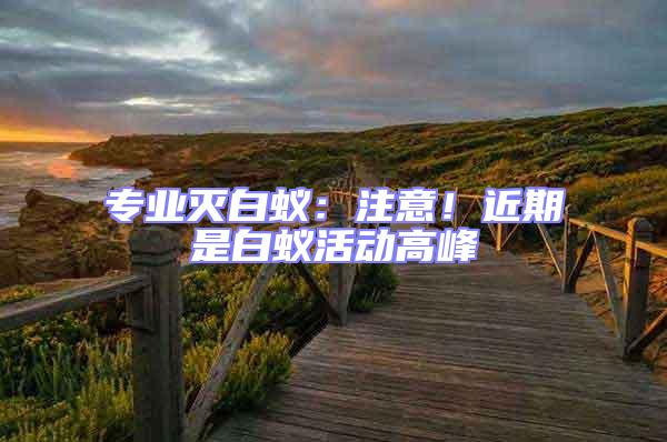 專業(yè)滅白蟻：注意！近期是白蟻活動高峰