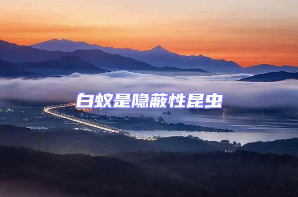 白蟻是隱蔽性昆蟲