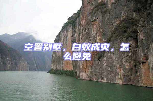 空置別墅，白蟻成災(zāi)，怎么避免