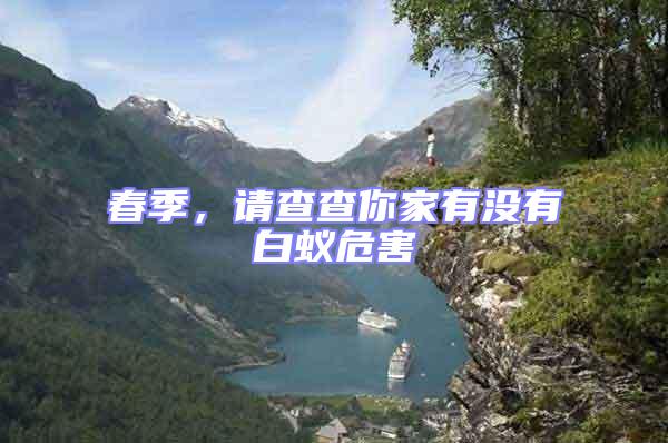 春季，請查查你家有沒有白蟻危害