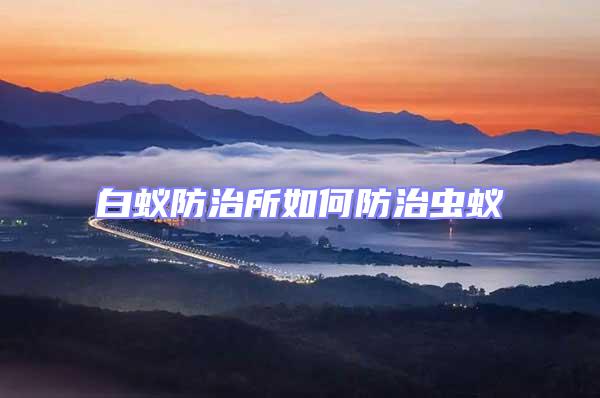 白蟻防治所如何防治蟲(chóng)蟻