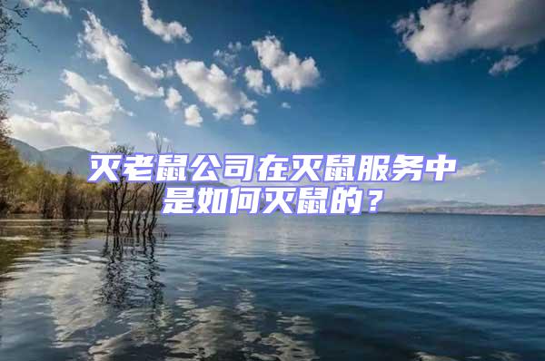 滅老鼠公司在滅鼠服務中是如何滅鼠的？
