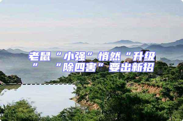 老鼠“小強”悄然“升級” “除四害”要出新招