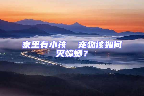 家里有小孩  寵物該如何滅蟑螂？