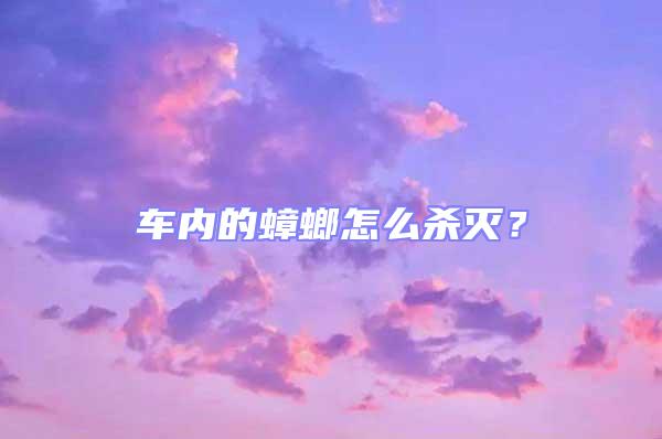 車內的蟑螂怎么殺滅？