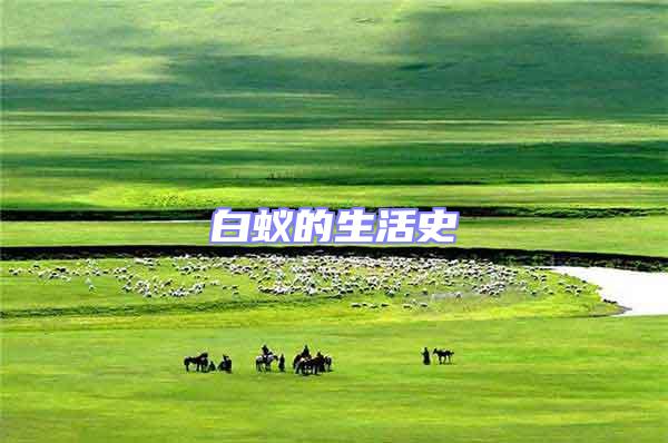 白蟻的生活史